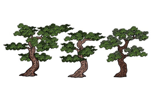Illustration Asian Japanese Bonsai Tree Element Set vector
