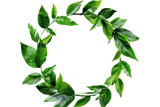 AI generated Green Leafy Wreath png