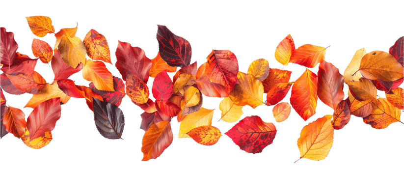 AI generated Autumn Leaves Panorama png