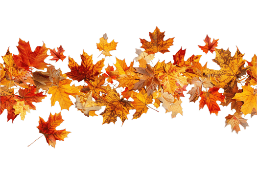 AI generated Autumn Leaves Panorama png