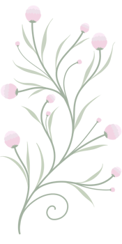Pink wildflower border png