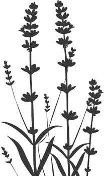 AI generated Silhouette lavender flower black color only vector