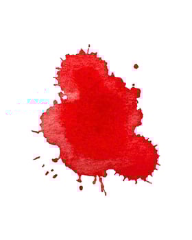 Drops of watercolor splashes, from wine, blood, paint, red burgundy color. Isolated, white background. vector