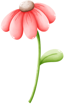 Red daisies blooming png