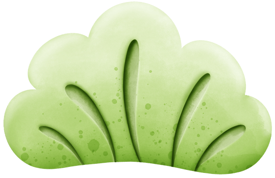 Leaves and grass for decoration png