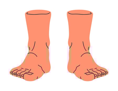 Standing legs. Human naked feet, barefoot legs in front view, bare pair of legs, male or female feet in standing position flat illustration. Hand drawn feet vector