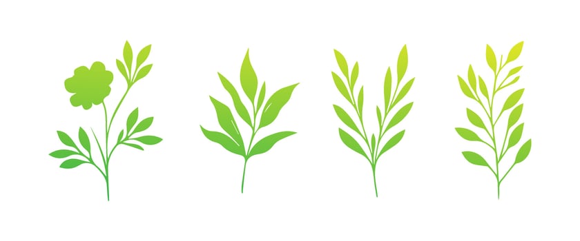 Minimal feminine botanical floral branch in silhouette style. Hand drawn wedding herb, minimalistic flowers with elegant leaves. Botanical rustic trendy greenery vector