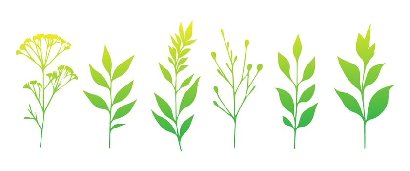 Minimal feminine botanical floral branch in silhouette style. Hand drawn wedding herb, minimalistic flowers with elegant leaves. Botanical rustic trendy greenery vector