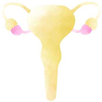 The Uterus is a part of every human body. An hand drawn illustration of anatomy. png