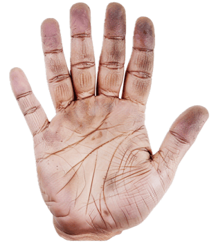 AI generated Detailed Human Palm Showing Lines and Textures png