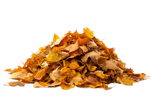 AI generated Pile of Autumn Leaves png