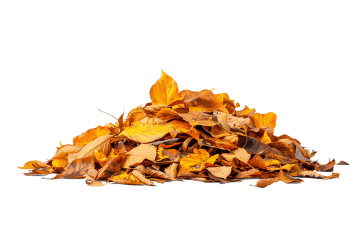AI generated Pile of Autumn Leaves png