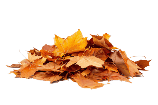 AI generated Pile of Autumn Leaves png