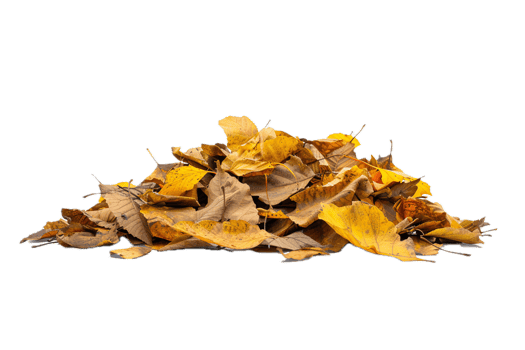 AI generated Pile of Autumn Leaves png