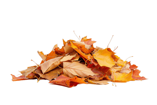 AI generated Pile of Autumn Leaves png