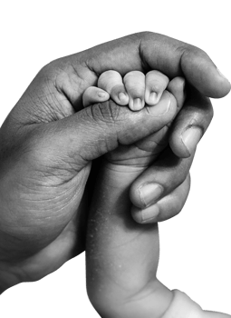 Father holding hands of newborn son on Father's Day png