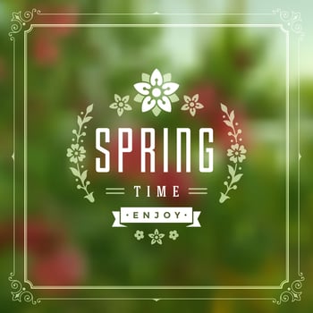 Spring Typographic Greeting Card or Poster Design. vector