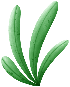 Leaves and grass png