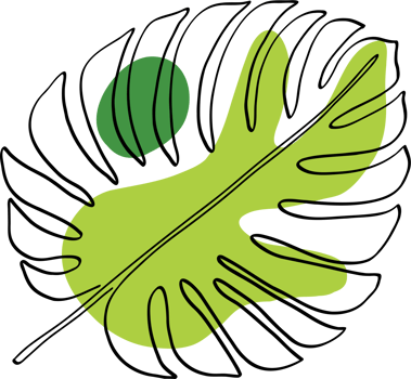 Abstract Leaf Shape png
