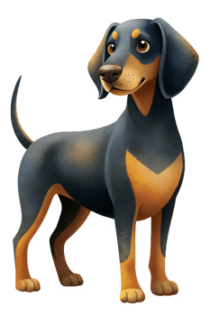 Austrian Black and Tan Hound stand isolated transparent background png