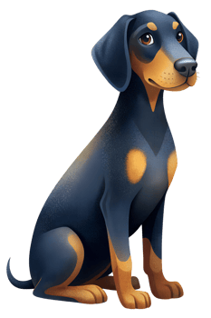 Austrian Black and Tan Hound sit isolated transparent background png