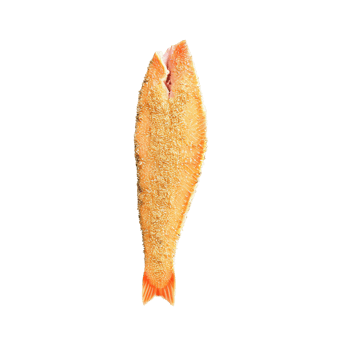A scrumptious trout fillet, pan-fried with a breadcrumb coating, a top-down , png