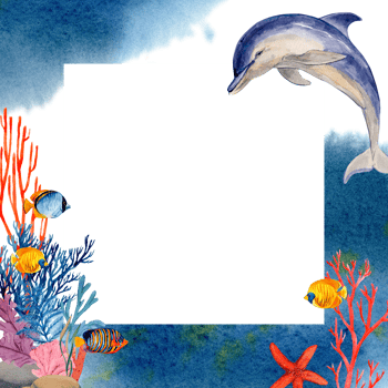 Square frame with tropical bright fish, corals and dolphins. Watercolor illustration with sea splashes and paint stains. For cards, posters, menus, beach and sea accessories. Ocean themed invitations. png