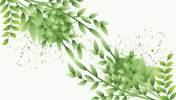 Abstract Geometric modern with Leaf wave Green color background for template, poster, flyer design. illustration vector
