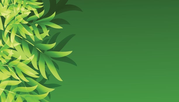 Abstract Geometric modern with Leaf wave Green color background for template, poster, flyer design. illustration vector