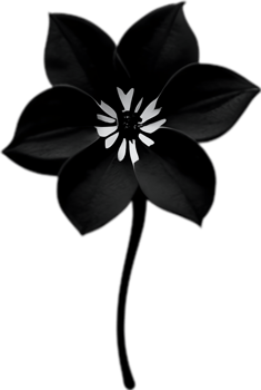 AI generated Nightshade Flowers, Close-up painting of Nightshade Flowers. png