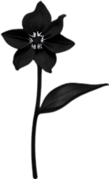 AI generated Nightshade Flowers, Close-up painting of Nightshade Flowers. png