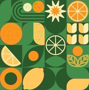 Abstract geometric fruit pattern. Shapes of natural organic flower plants, eco-agriculture citrus. minimal illustration vector