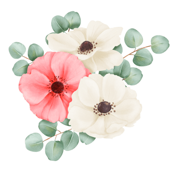 A watercolor composition featuring white and pink anemones, adorned with eucalyptus leaves. for wedding invitations, event decorations, botanical-themed designs, digital artwork and decorative crafts png