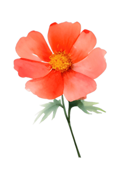 Floral collection with leaves and flowers drawing watercolor. png