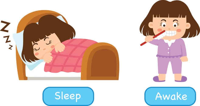 Opposite words words asleep and awake illustration vector