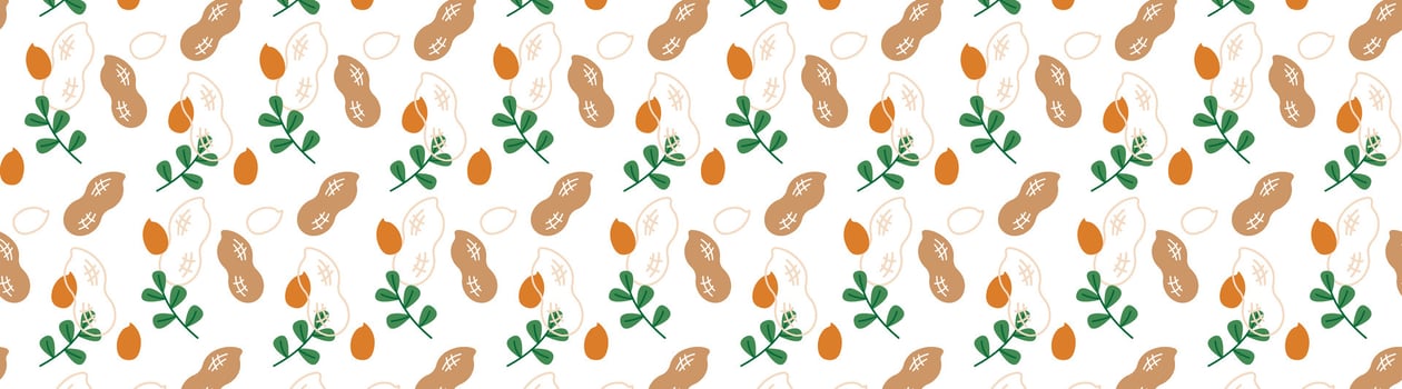 peanut seamless pattern bacground nuts vector
