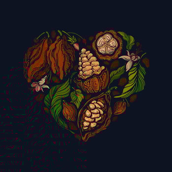 Cocoa heart symbol. Organic chocolate. Kakao beans vector