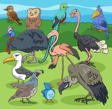 birds animal characters group cartoon illustration vector