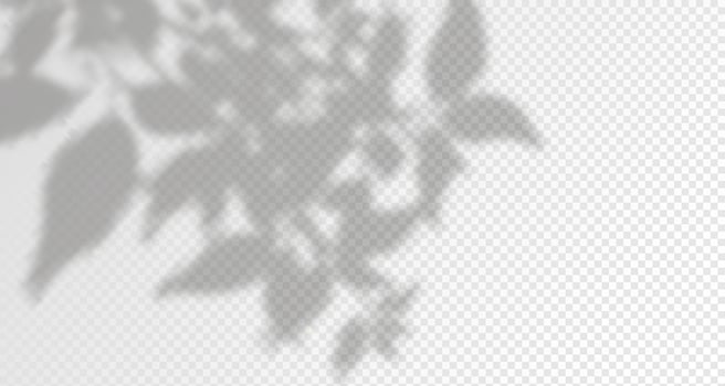 Glare from the sun's rays on the wall. Blurred shadows from leaves and plants in the room. Soft overlay of natural light. Abstract background for product presentation.Natural light layout. vector