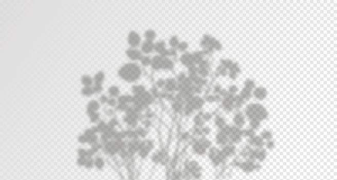 Glare from the sun's rays on the wall. Blurred shadows from leaves and plants in the room. Soft overlay of natural light. Abstract background for product presentation.Natural light layout. vector