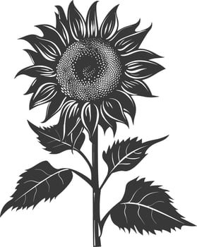 Silhouette sunflower flower black color only vector