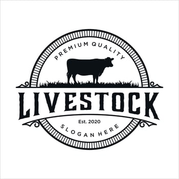 retro vintage, livestock cattle farm logo design template vector