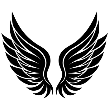 A pair of black wings png