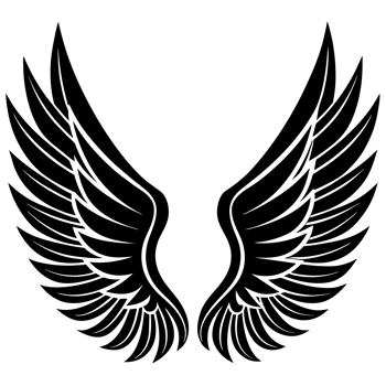 A pair of black wings png