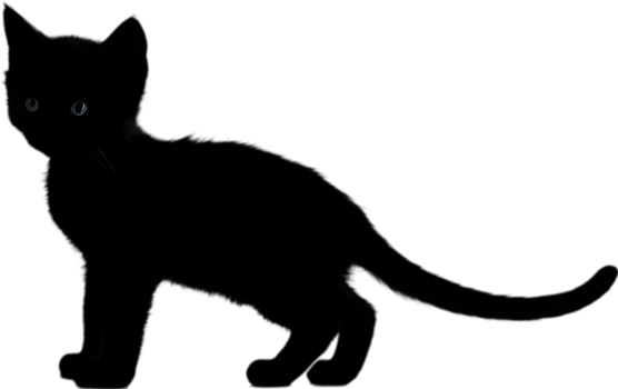 Close-up painting of a cute kitten. Ai Generate png