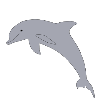 Dolphin Illustration Clip Art png
