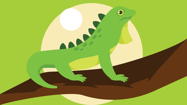Iguana animal cartoon character illustration vector