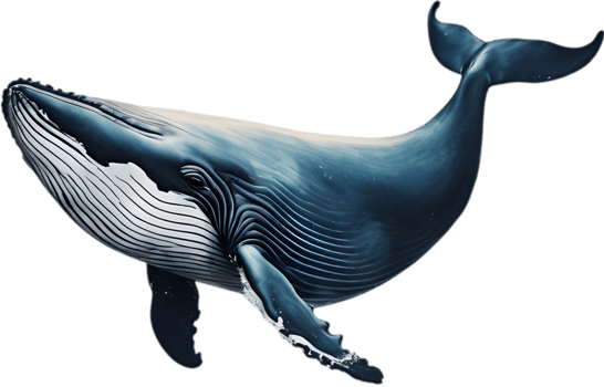 Close-up painting of a whale. Ai-Generated png