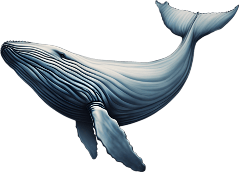 Close-up painting of a whale. Ai-Generated png