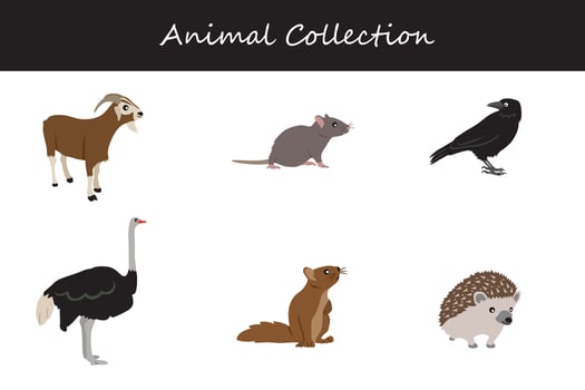 Animals collection. flat style illustration. vector